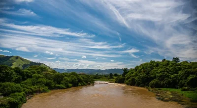 comite-guandu-.webp